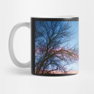 Photo of Leafless Branches Against Morning Sky Mug